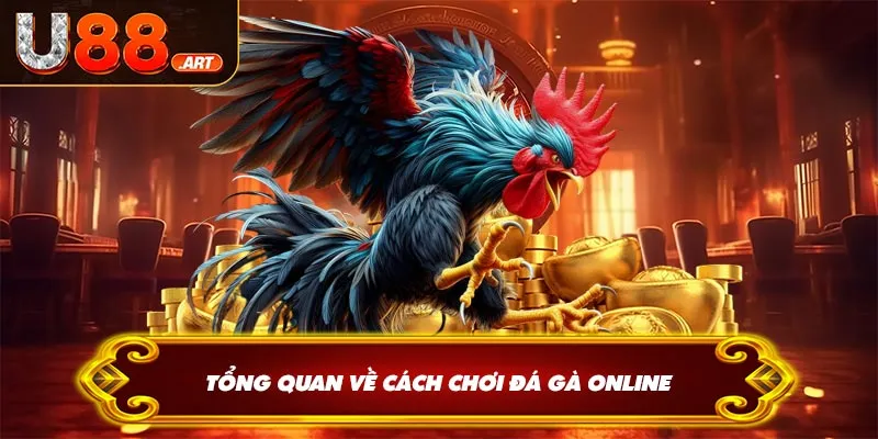 Tổng quan về cách chơi đá gà online